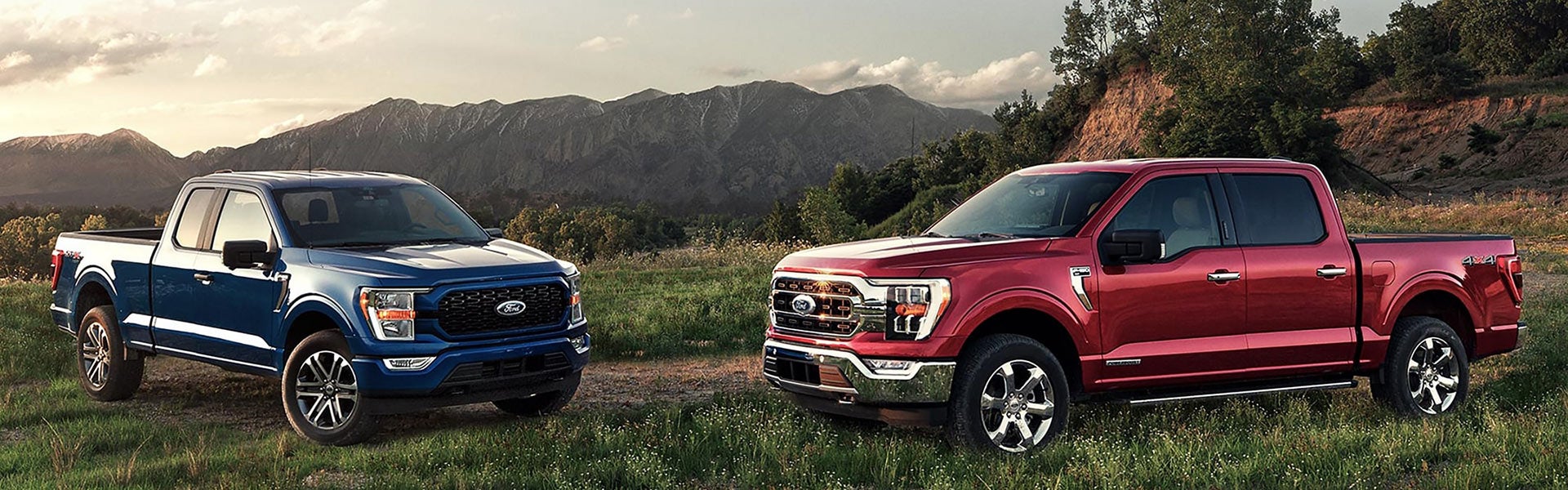 Two 2021 Ford F 1 50 parked in a field