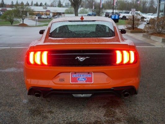2020 Ford Mustang EcoBoost in plymouth, MN - Superior Ford