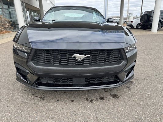 2024 Ford Mustang EcoBoost® Premium Convertible in plymouth, MN - Superior Ford