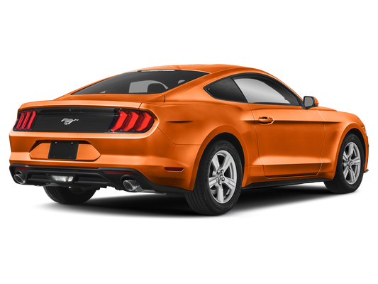 Used 2020 Ford Mustang EcoBoost with VIN 1FA6P8TH1L5143428 for sale in Plymouth, Minnesota
