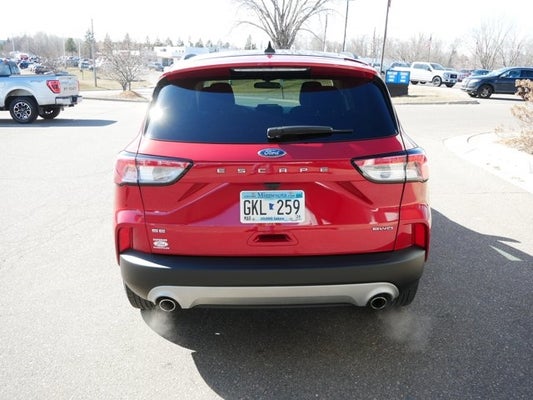 2020 Ford Escape SE in plymouth, MN - Superior Ford