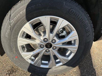 2026 Ford Escape Active®