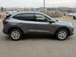 2026 Ford Escape Active®