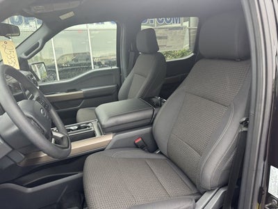 2025 Ford F-150 STX®