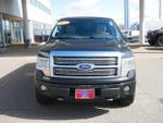 2010 Ford F-150 Platinum