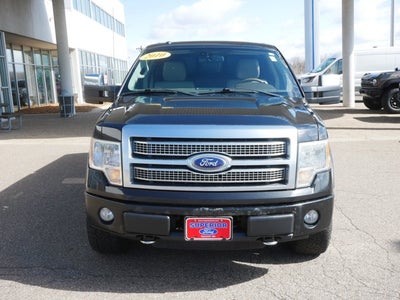 2010 Ford F-150 Platinum