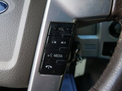 2010 Ford F-150 Platinum