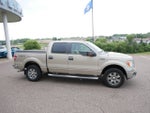 2010 Ford F-150 XLT