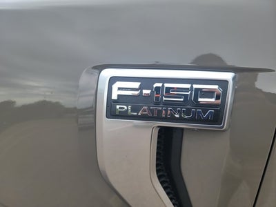 2026 Ford F-150 Platinum®